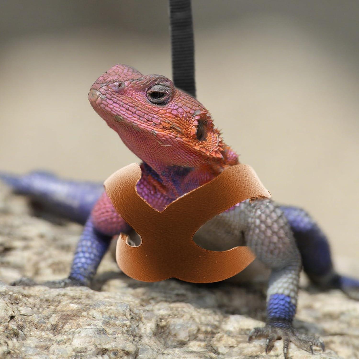 Arnés y Correa Ajustable para Dragón Barbudo Aeloer - Cuero Suave