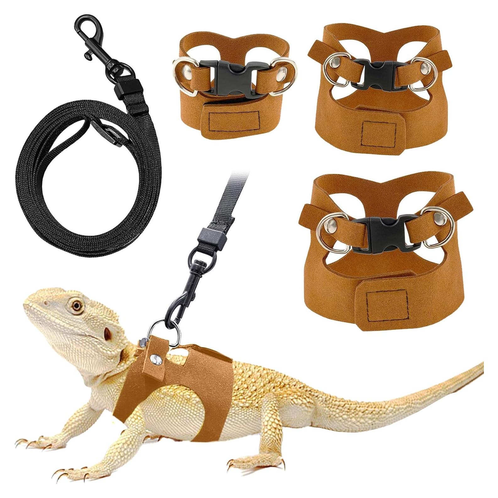 Conjunto Correa y Arnés Dragón Barbudo GUNEDD 2M Marrón