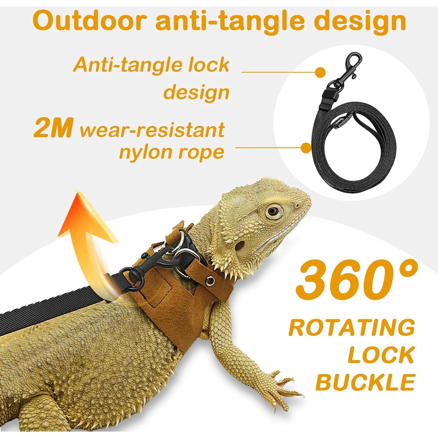 Conjunto Correa y Arnés Dragón Barbudo GUNEDD 2M Marrón