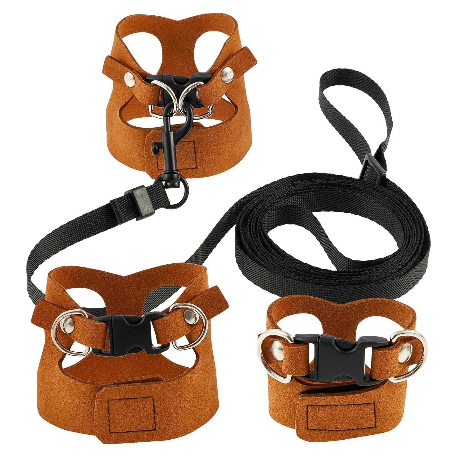 Juego de Arnés y Correa Ajustable Lainiute para Dragón Barbudo