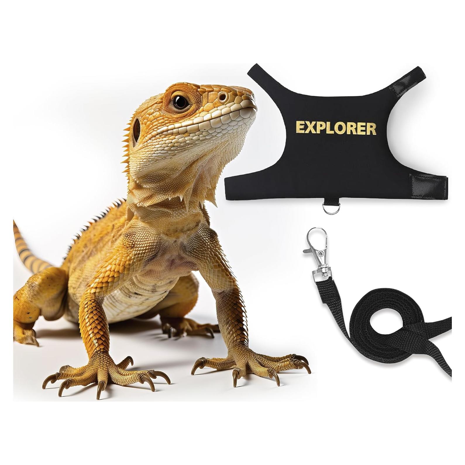 Correa y Arnés Ajustable POLKASTORE para Dragón Barbudo 1.52m