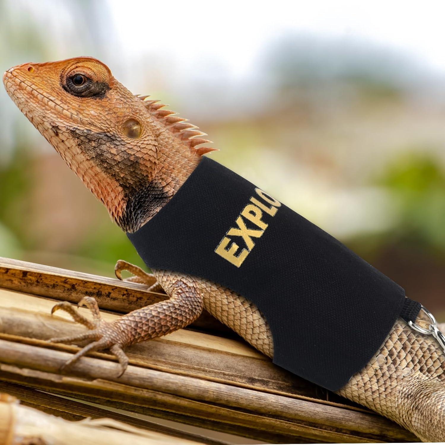 Correa y Arnés Ajustable POLKASTORE para Dragón Barbudo 1.52m