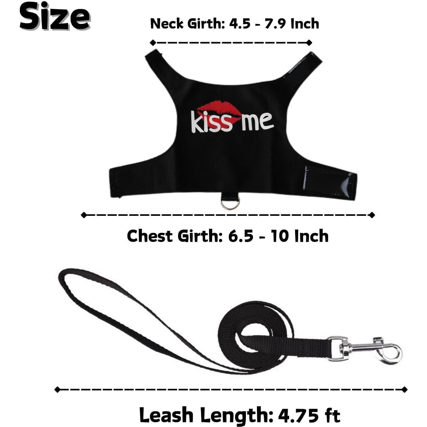 Arnés y Correa Ajustable para Dragón Barbudo SEZDEKI - Negro