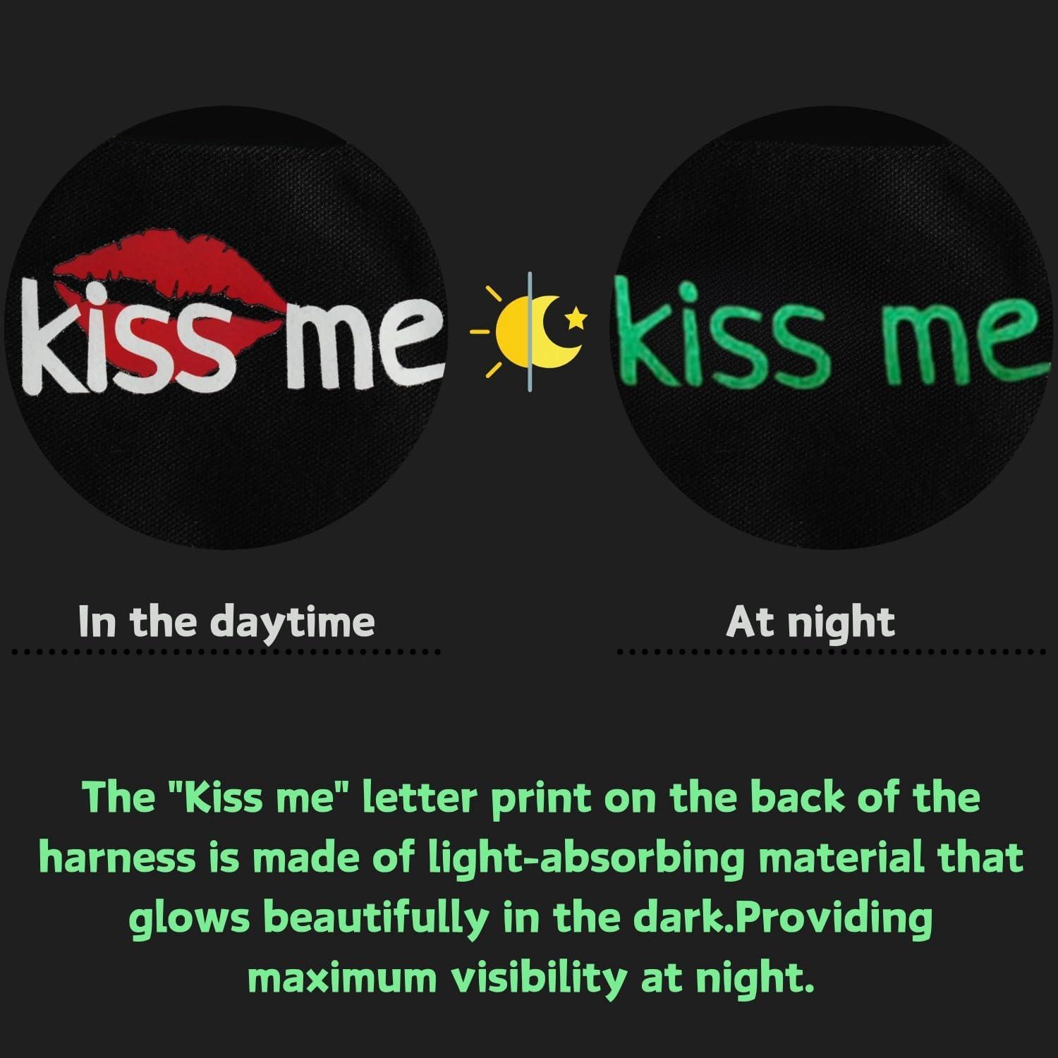 Arnés y Correa Ajustable para Dragón Barbudo SEZDEKI - Negro