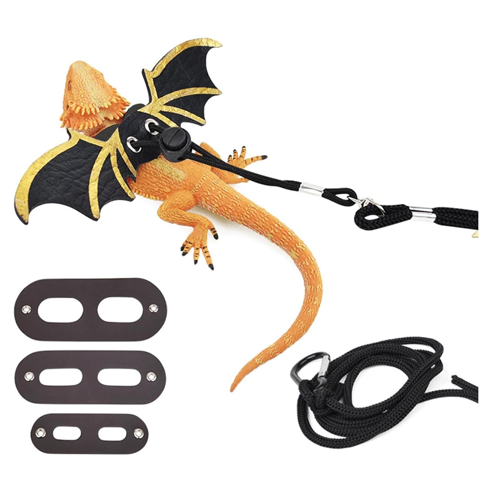 Correas y Arnés para Dragón Barbado SPCMGSZ - Ajustable Negro