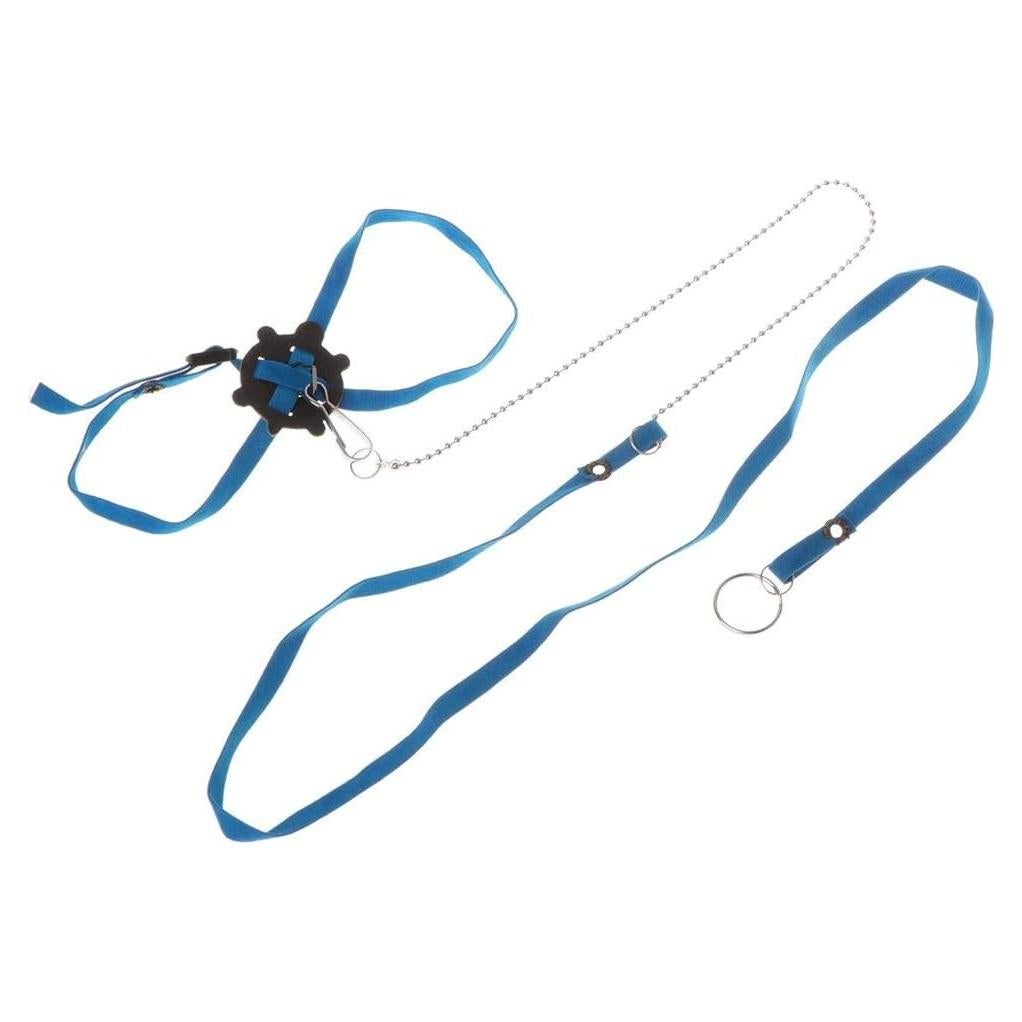 Conjunto Arnés y Correa Ajustable Hypeety para Reptiles Azul