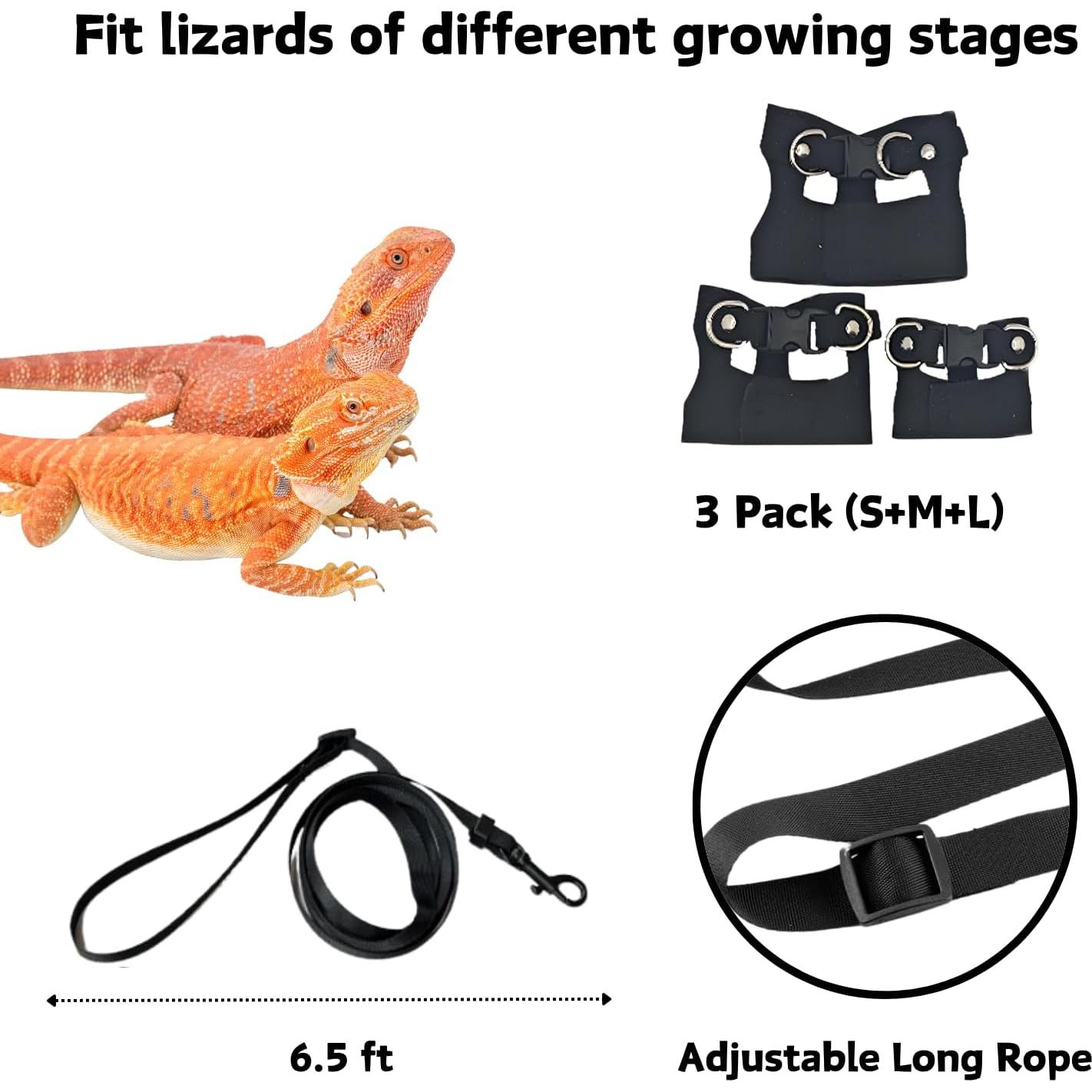 Conjunto Arnés y Correa de Cuero Suave FORZENA Negro S M L