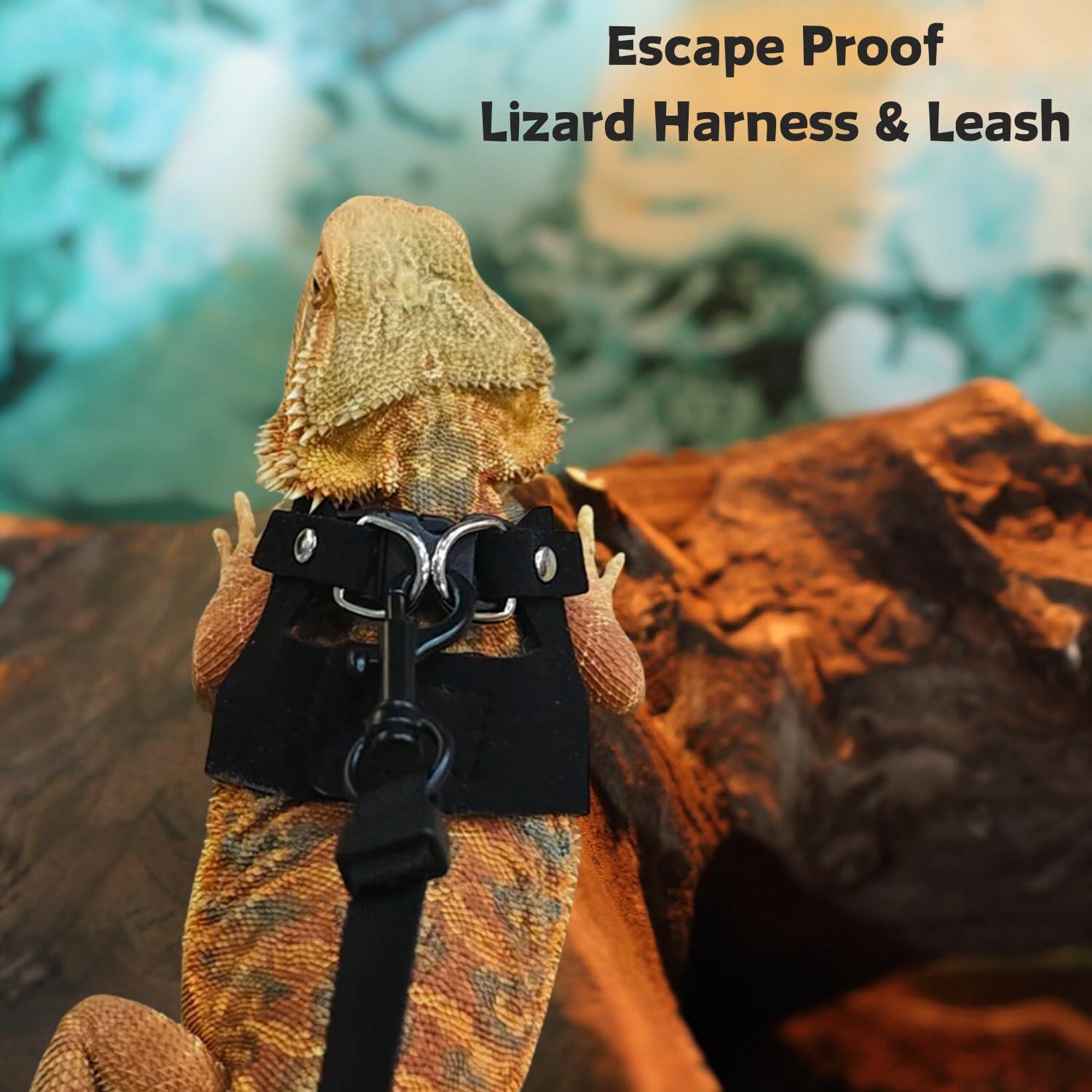 Conjunto Arnés y Correa de Cuero Suave FORZENA Negro S M L