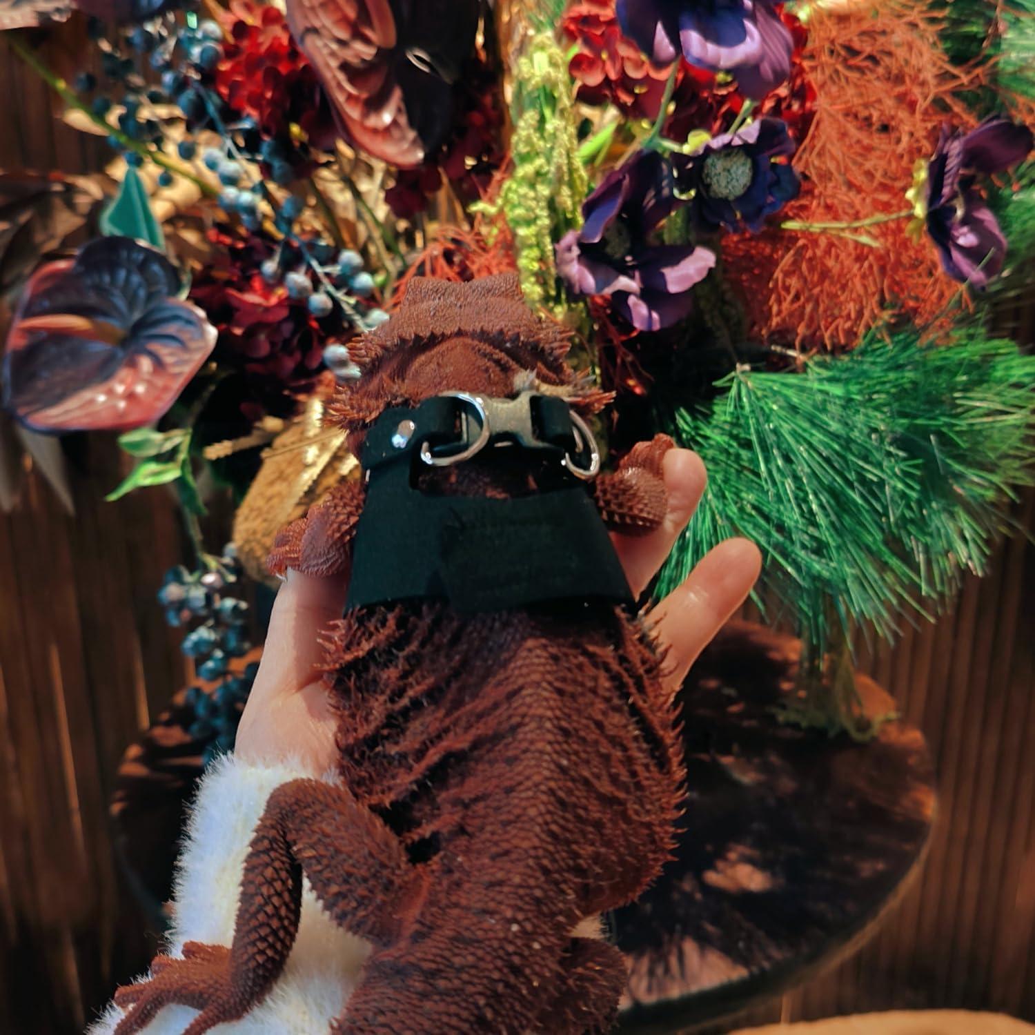 Conjunto Arnés y Correa de Cuero Suave FORZENA Negro S M L