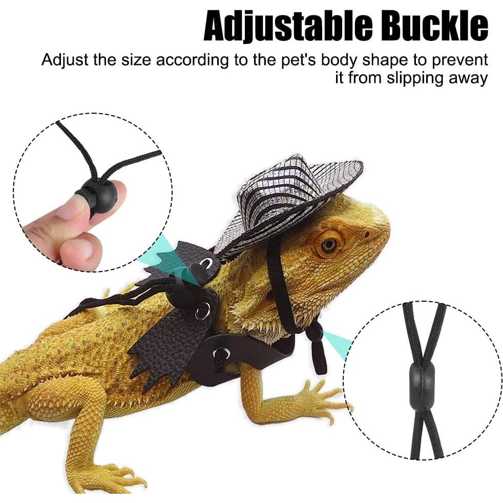 Conjunto Arnés y Correa Dragón Barbudo MiOYOOW S/M/L