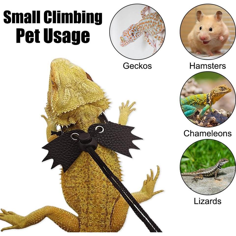 Conjunto Arnés y Correa Dragón Barbudo MiOYOOW S/M/L