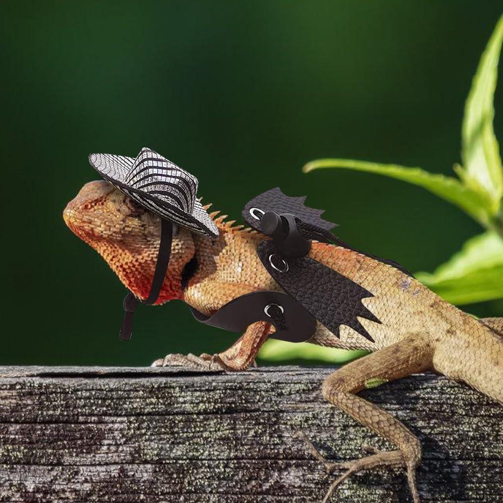 Conjunto Arnés y Correa Dragón Barbudo MiOYOOW S/M/L