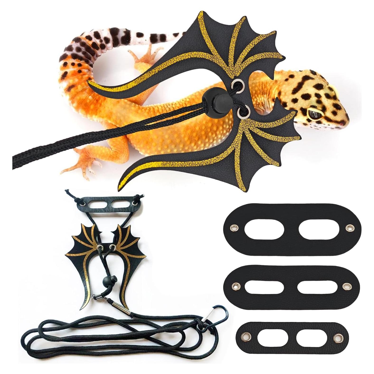 Conjunto Correa y Arnés Ajustable Dragón Barbudo 3 Tamaños