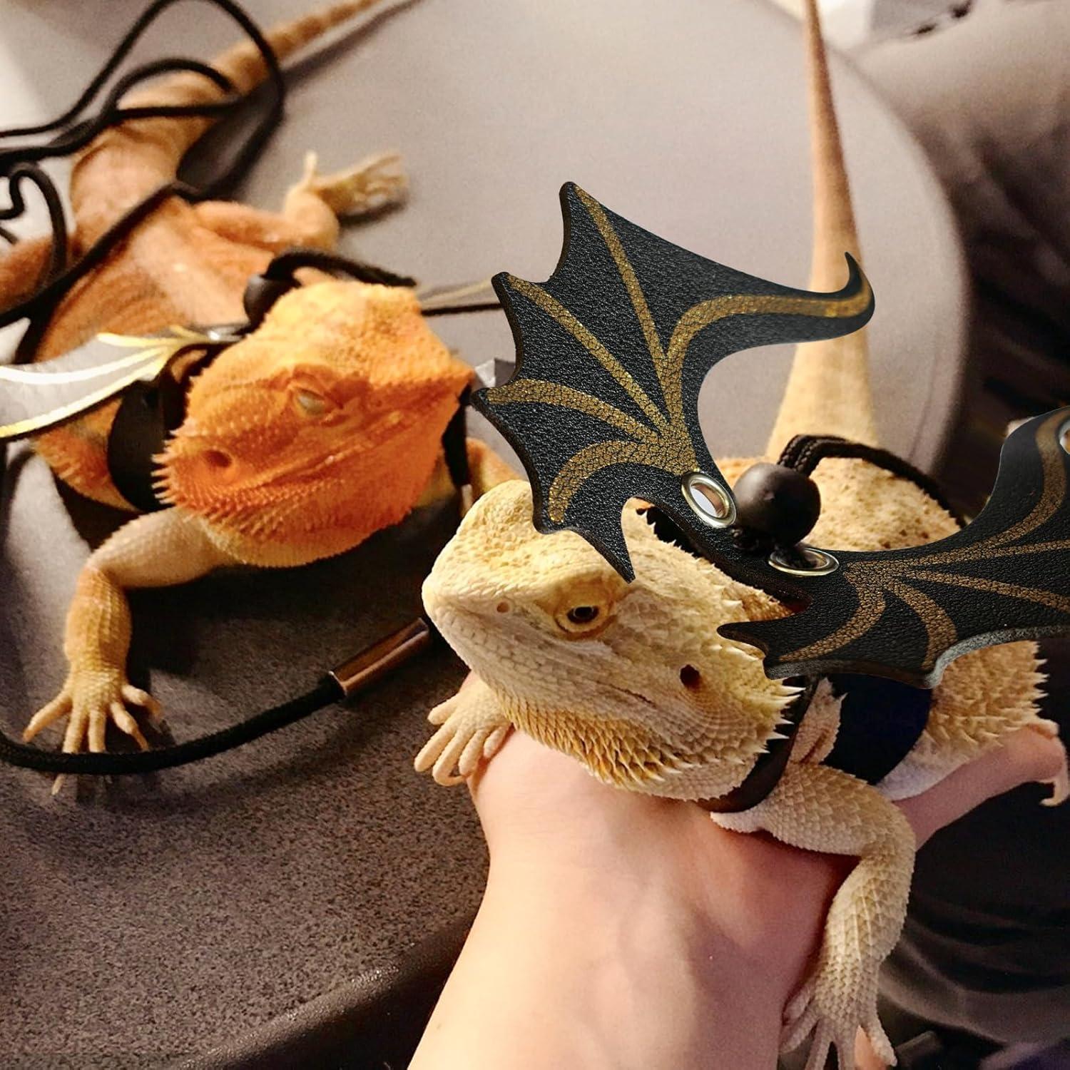 Conjunto Correa y Arnés Ajustable Dragón Barbudo 3 Tamaños