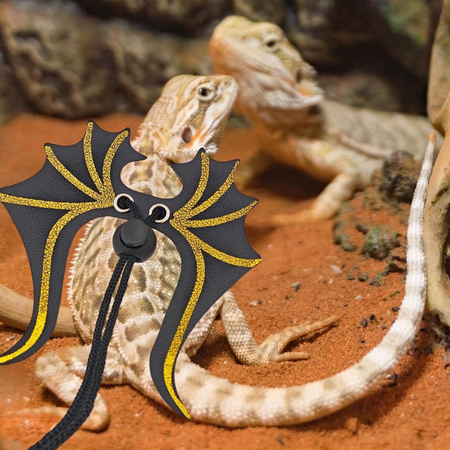 Conjunto Correa y Arnés Ajustable Dragón Barbudo 3 Tamaños