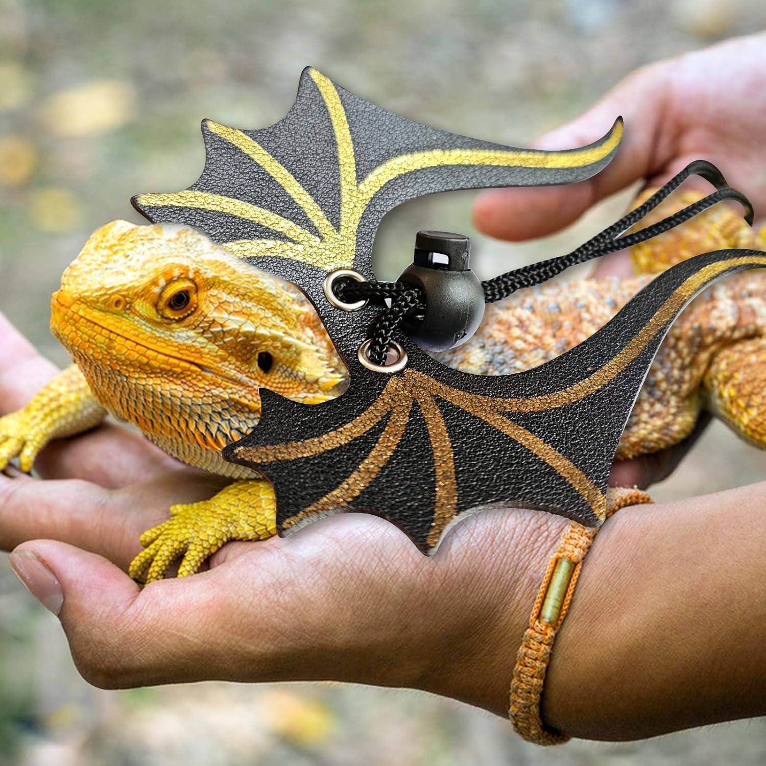 Conjunto Correa y Arnés Ajustable Dragón Barbudo 3 Tamaños