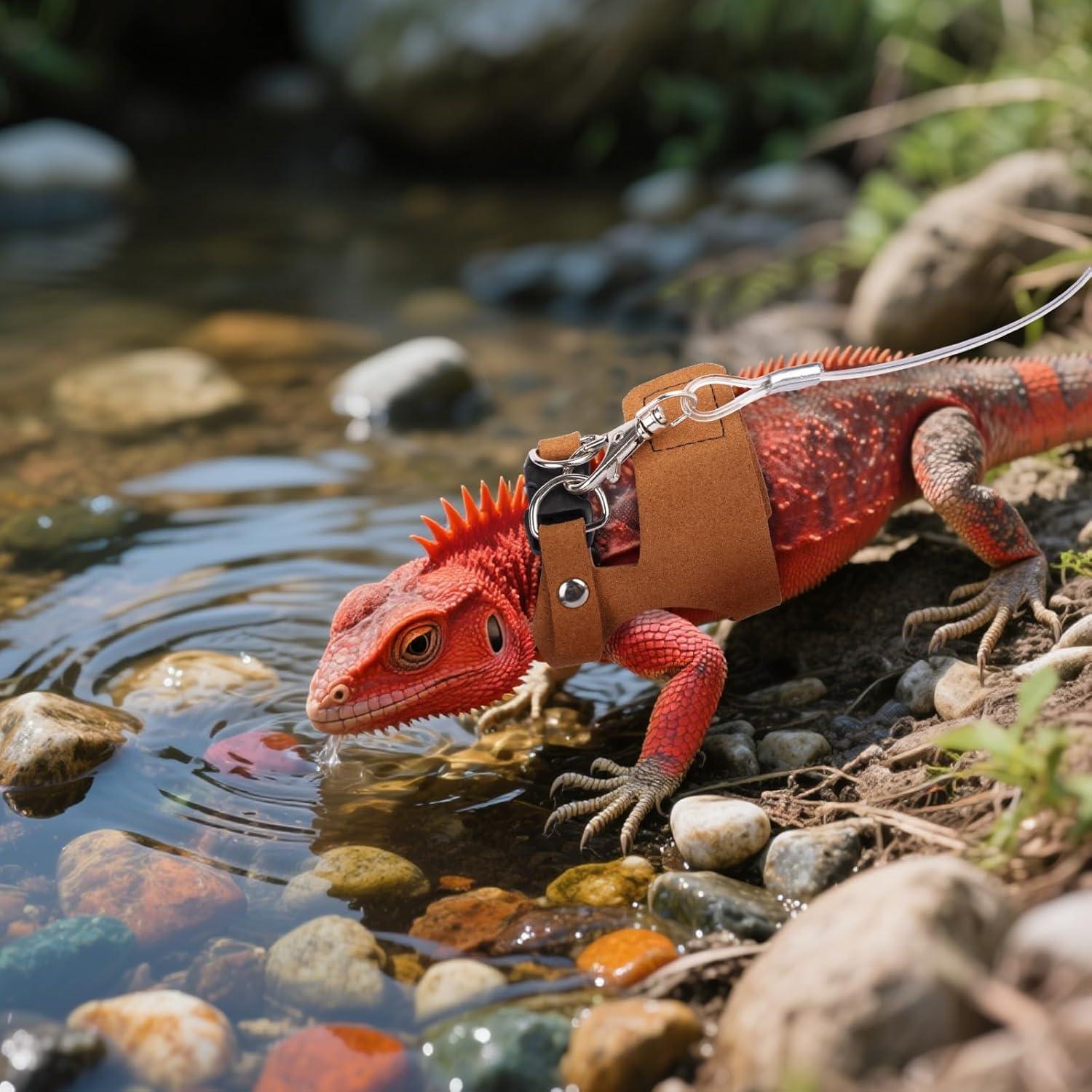 Paquete de 3 correas ajustables para dragones barbudos YOUNG-W