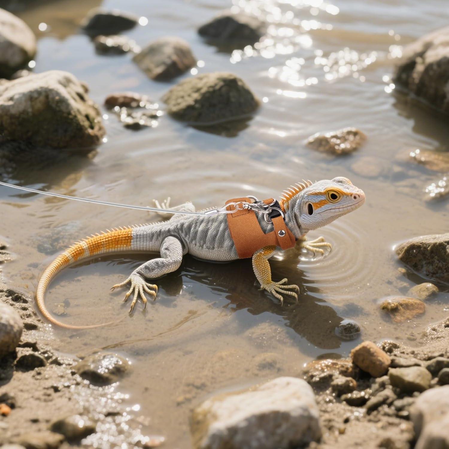 Paquete de 3 correas ajustables para dragones barbudos YOUNG-W