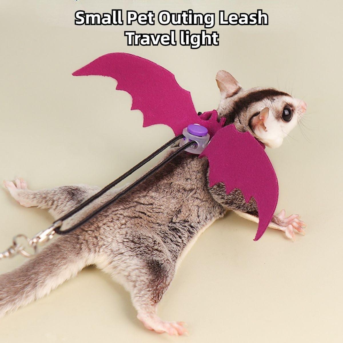 Conjunto Arnés y Correa Copfeu para Animales Pequeños 3 Piezas