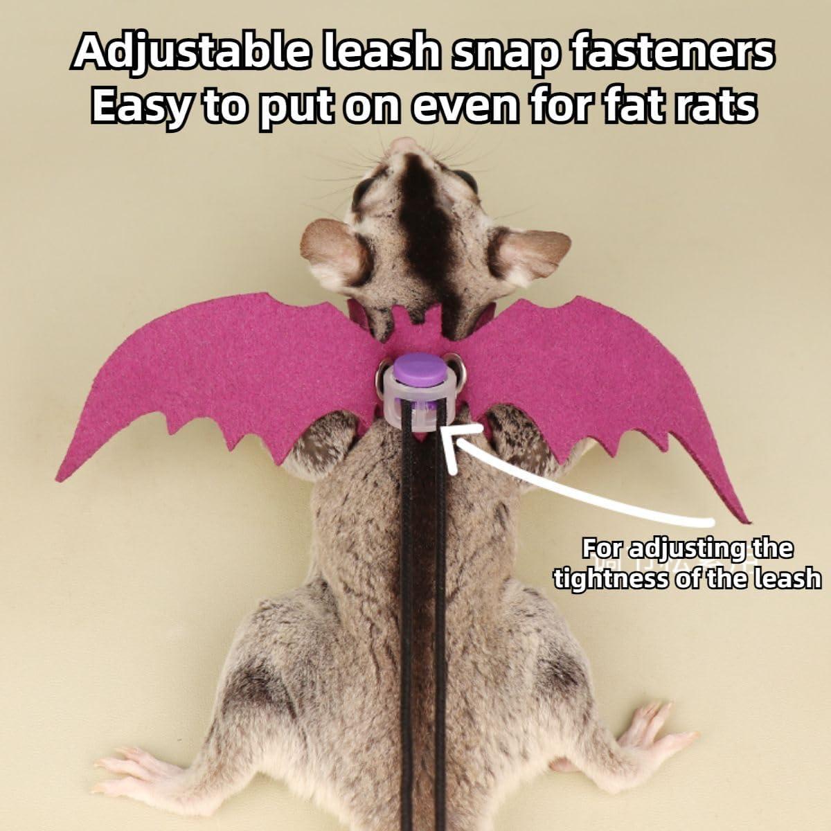 Conjunto Arnés y Correa Copfeu para Animales Pequeños 3 Piezas