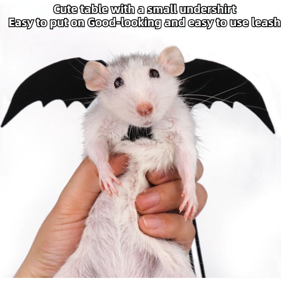 Conjunto Arnés y Correa Copfeu para Animales Pequeños 3 Piezas