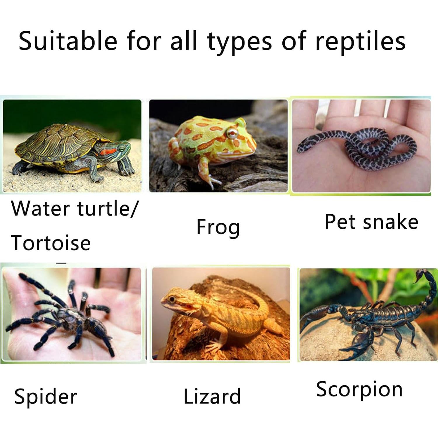 Plataforma de Sol para Tortugas ZIXIANGKEJI 17x10.2cm Resina