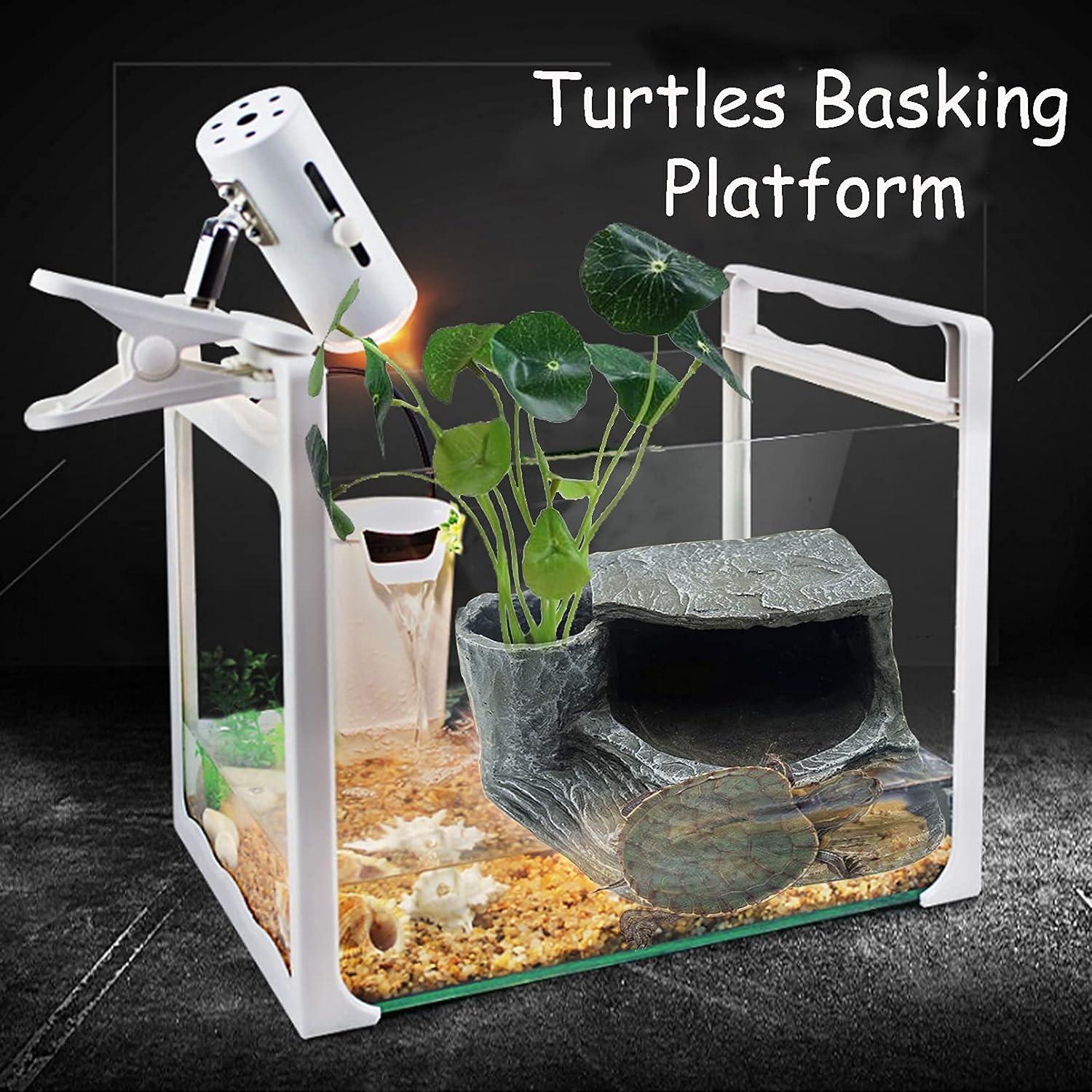 Plataforma de Sol para Tortugas Tfwadmx - Resina Natural 21x16.5cm