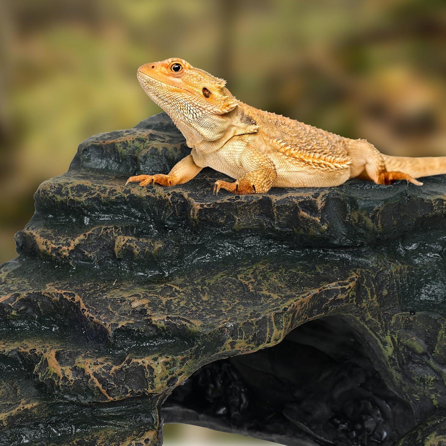 Escondite para Gecko Leopardo Mediano Aquazoo 12.7x11.7 cm