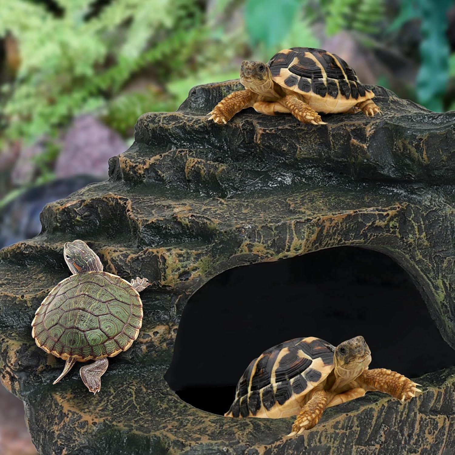 Escondite para Gecko Leopardo Mediano Aquazoo 12.7x11.7 cm