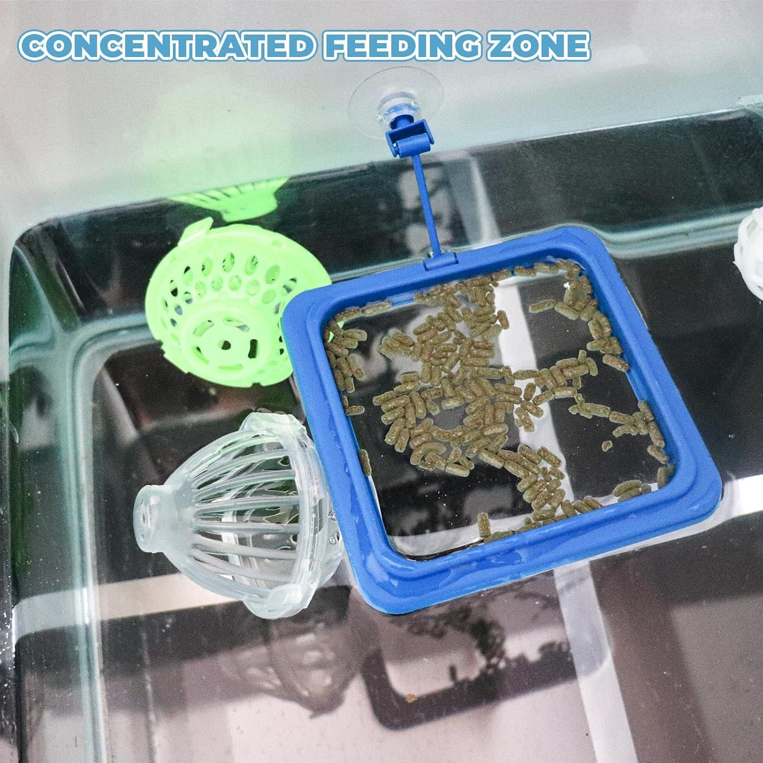 Conjunto de Accesorios para Acuarios de Tortugas MHLLGN