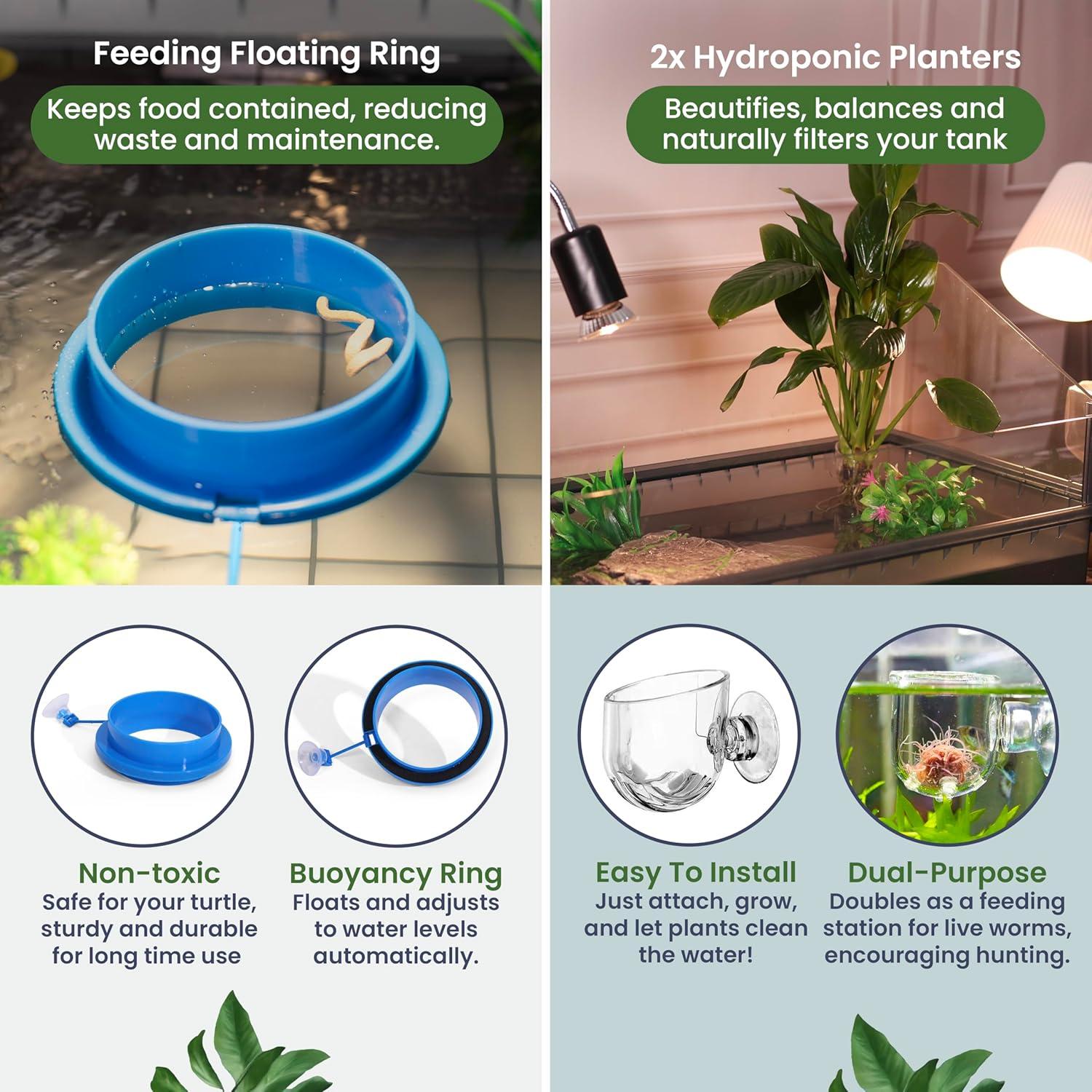 Kit Acuario Grande HYPESIDE para Tortugas - Completo 60x30x28cm