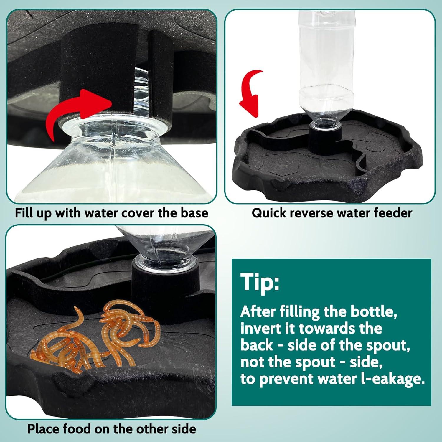 Botella de Agua Automática para Reptiles Tfwadmx 240g