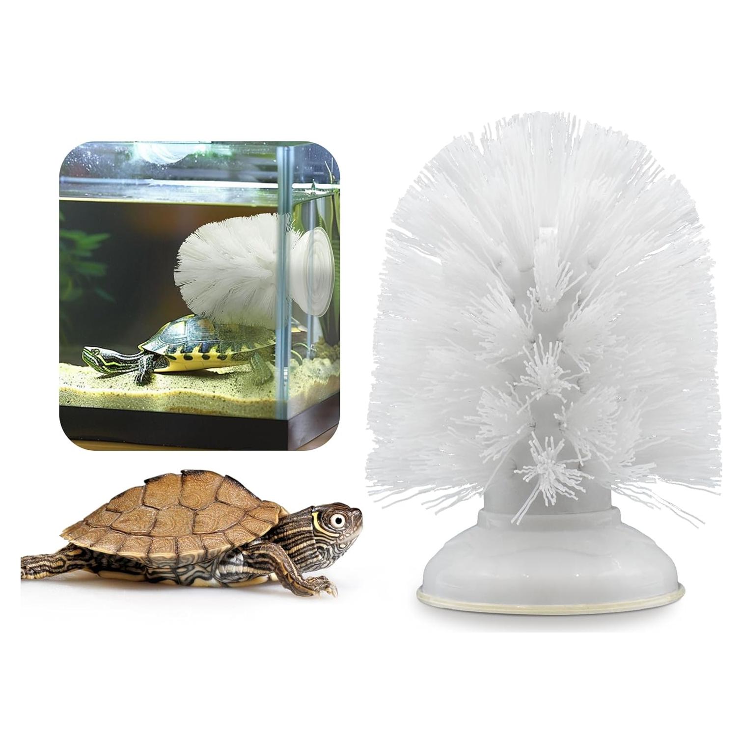 Cepillo de Tortuga con Ventosa JJMOLLE 10.4 cm Blanco