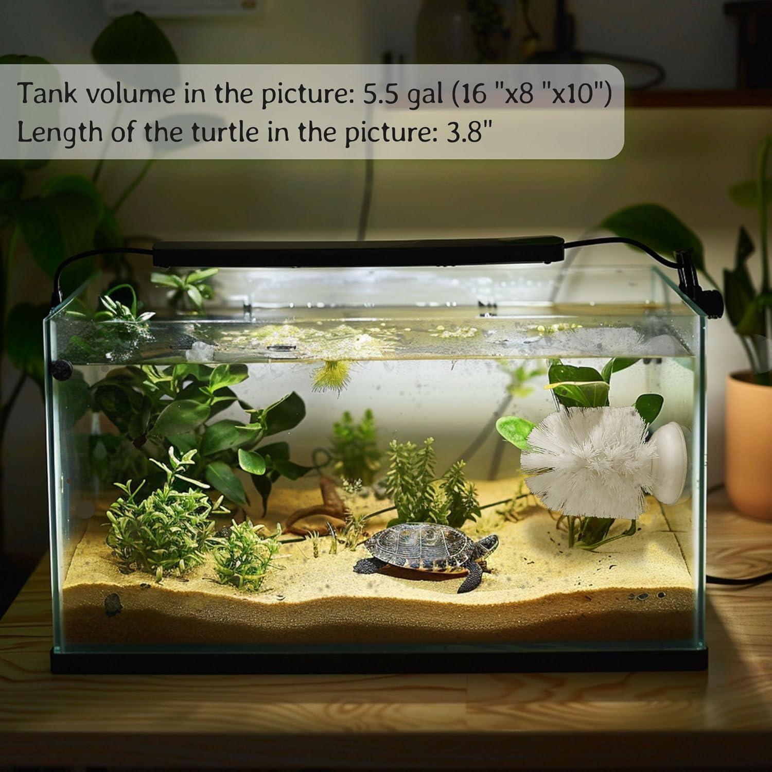 Cepillo de Tortuga con Ventosa JJMOLLE 10.4 cm Blanco