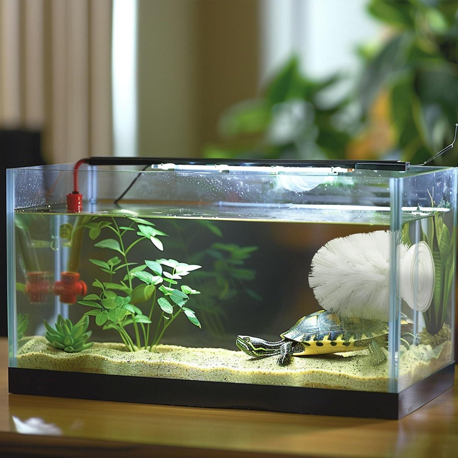 Cepillo de Tortuga con Ventosa JJMOLLE 10.4 cm Blanco