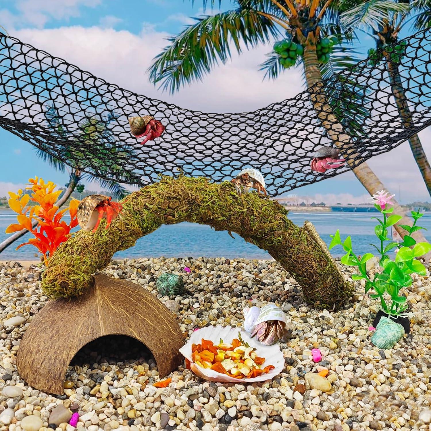 Accesorios para Cangrejo Ermitaño Hamiledyi 8PCS - Juguetes de Escalada y Escondite