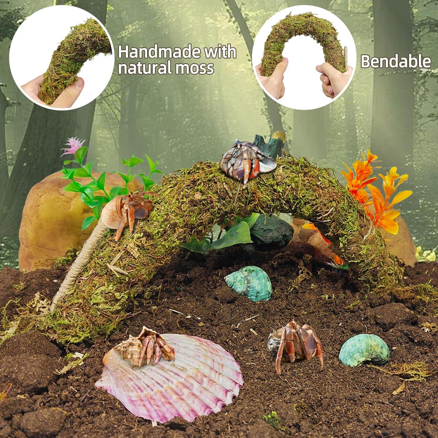 Accesorios para Cangrejo Ermitaño Hamiledyi 8PCS - Juguetes de Escalada y Escondite