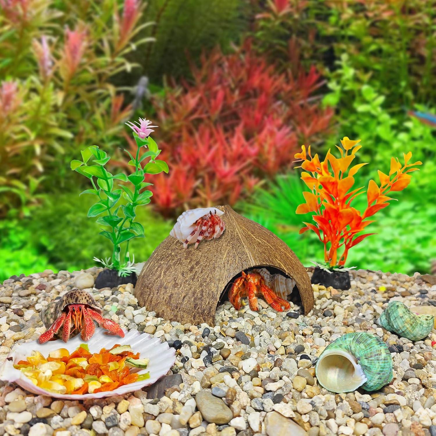 Accesorios para Cangrejo Ermitaño Hamiledyi 8PCS - Juguetes de Escalada y Escondite