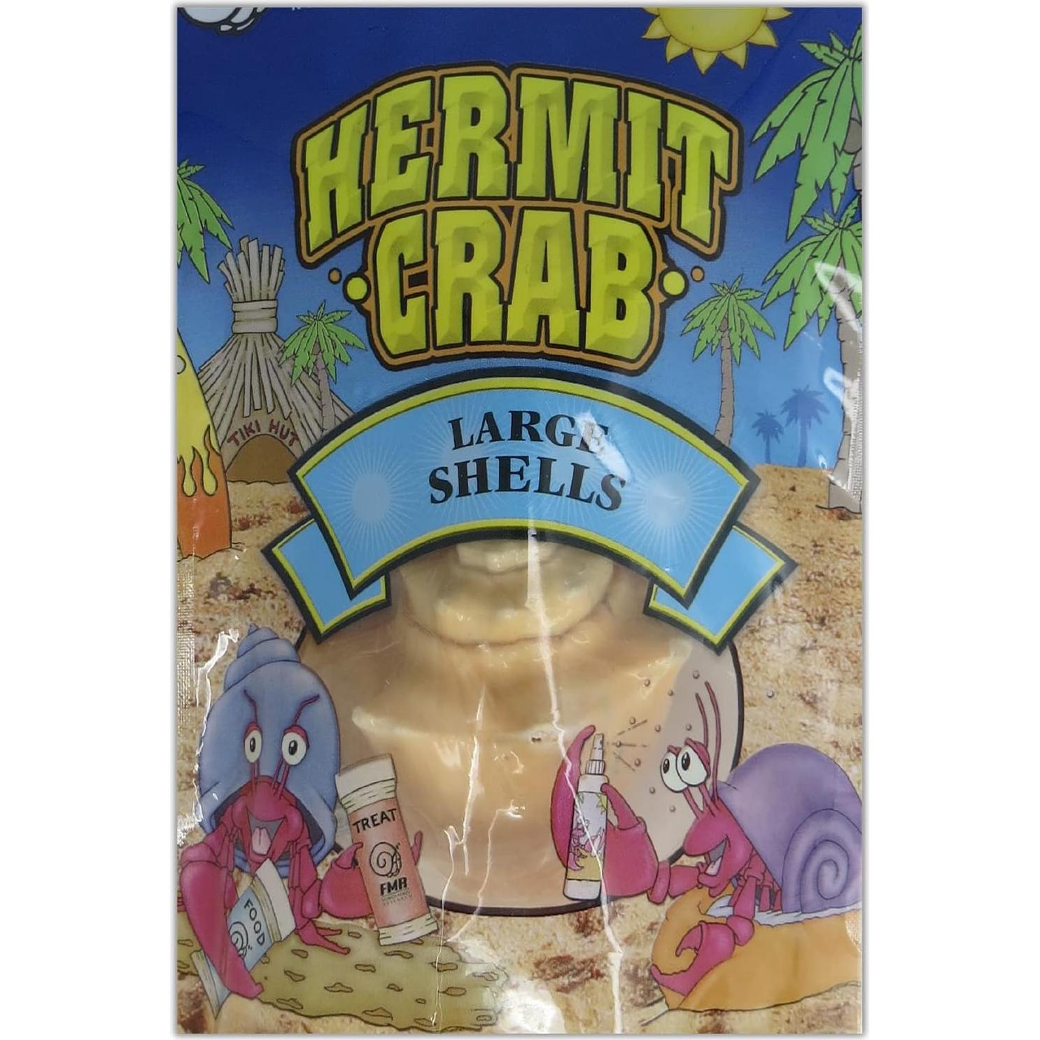 Conchas de Cangrejo Ermitaño Needzo Paquete de 2 Turbo 5.08cm