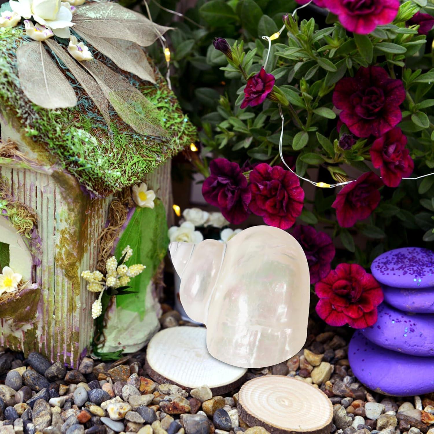 Conchas de Cangrejo Ermitaño Toddmomy 9cm Beige Decoración Acuario