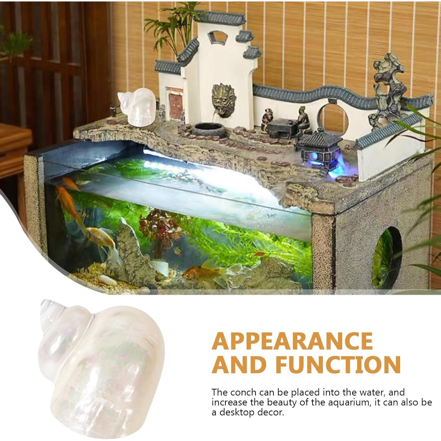 Conchas de Cangrejo Ermitaño Toddmomy 9cm Beige Decoración Acuario