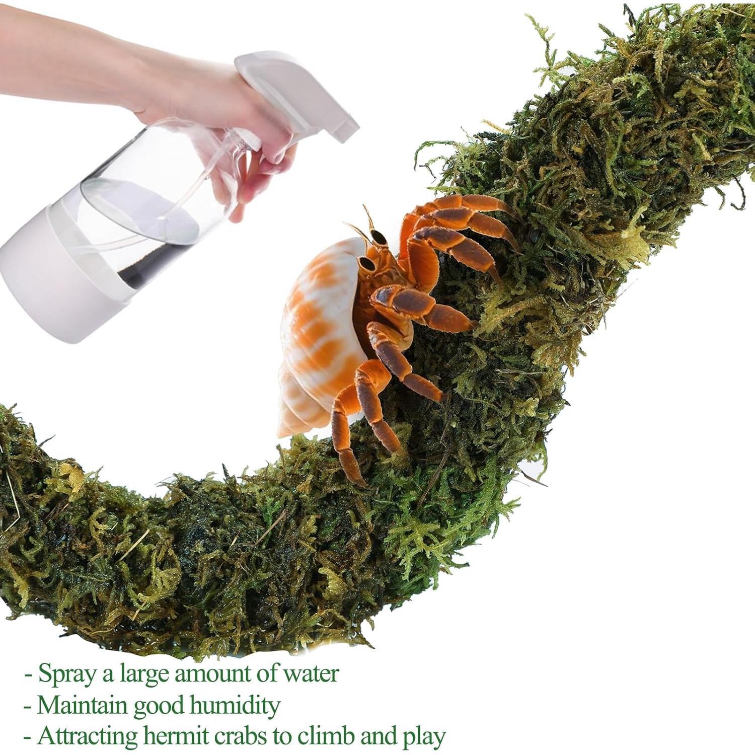 Accesorios para Cangrejo Ermitaño Grddaef - Hamaca, Puente y Vid