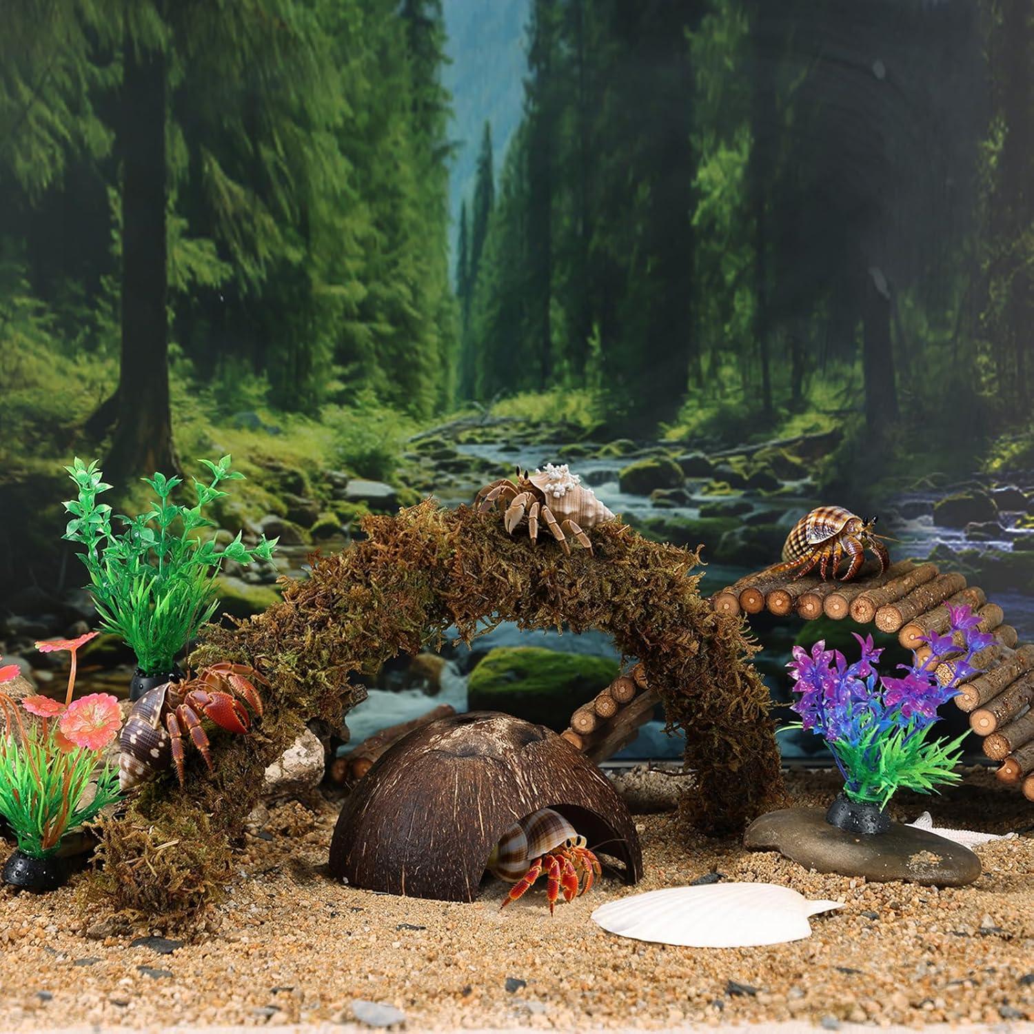 Accesorios para Cangrejo Ermitaño Grddaef - Hamaca, Puente y Vid