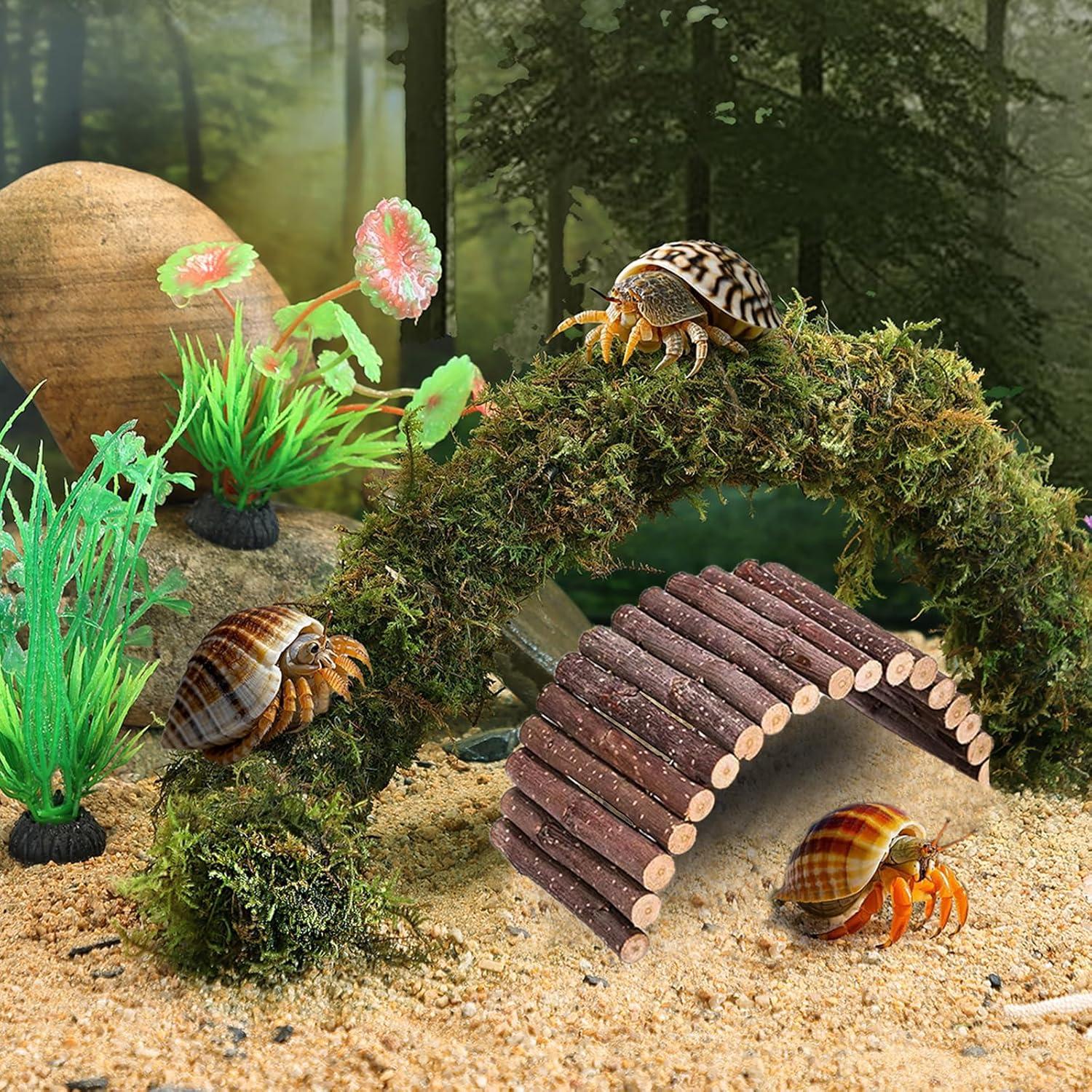 Accesorios para Cangrejo Ermitaño Grddaef - Hamaca, Puente y Vid