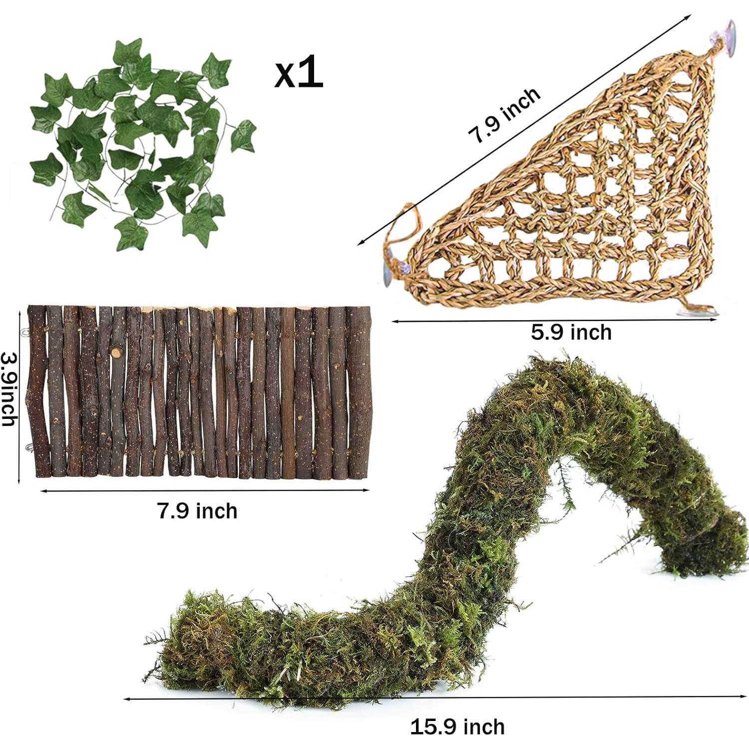 Accesorios para Cangrejo Ermitaño Grddaef - Hamaca, Puente y Vid