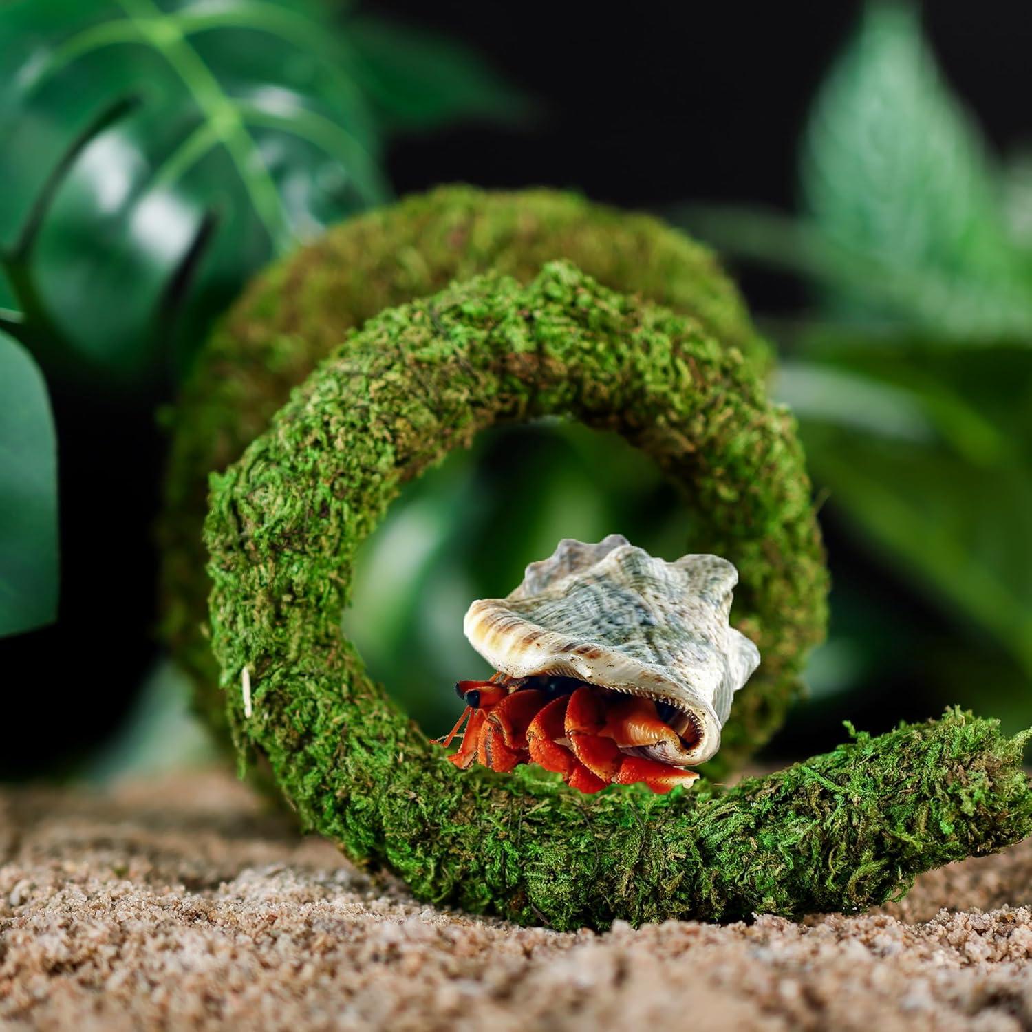 Juguete de Escalada para Cangrejo Ermitaño USMOLA 50cm Verde