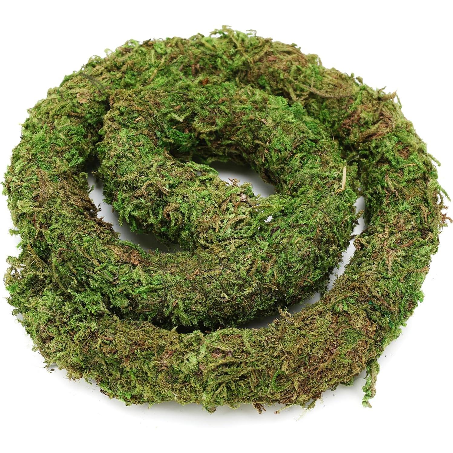 Juguete de Escalada para Cangrejo Ermitaño USMOLA 50cm Verde