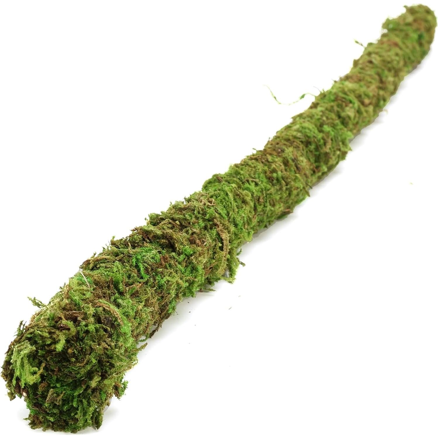 Juguete de Escalada para Cangrejo Ermitaño USMOLA 50cm Verde