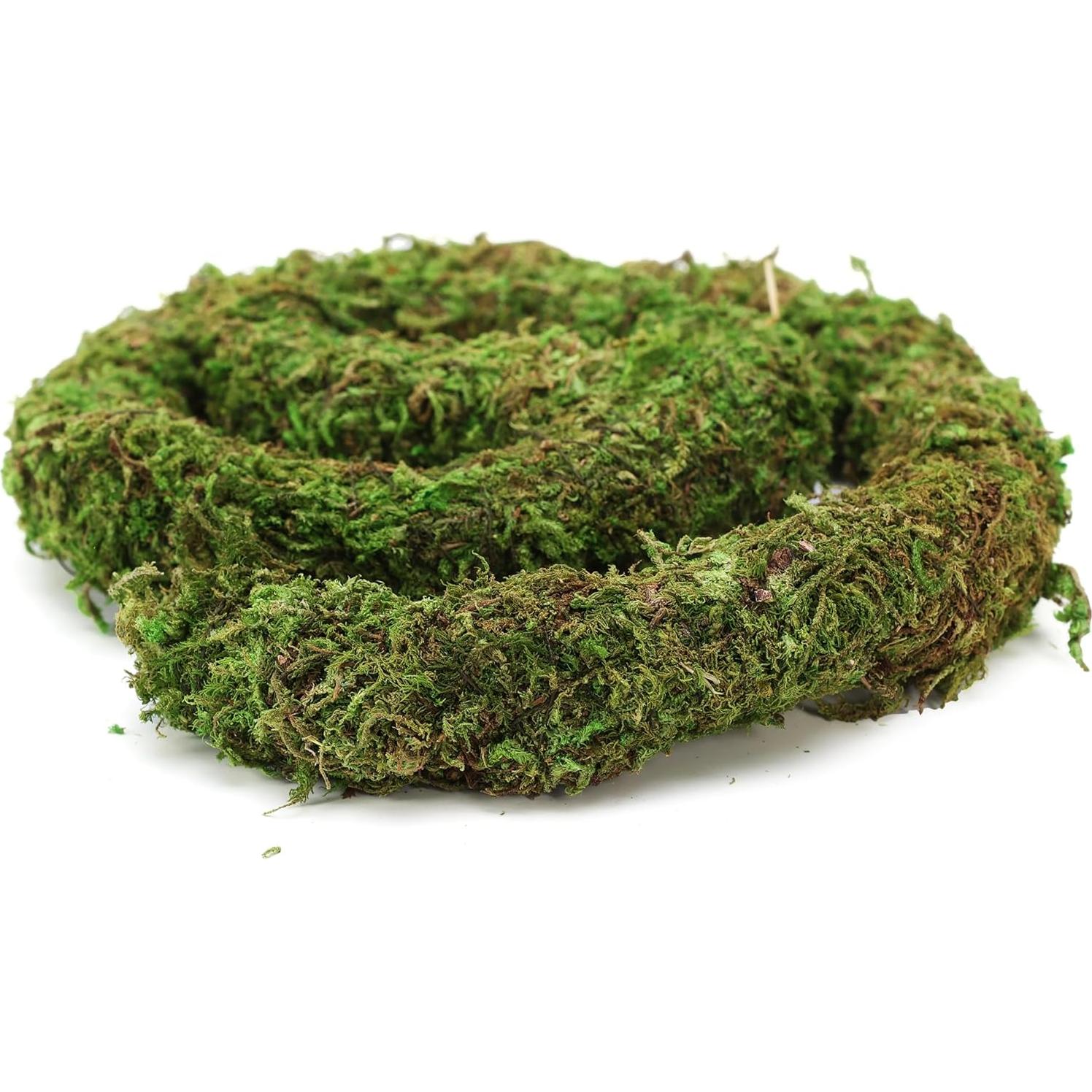 Juguete de Escalada para Cangrejo Ermitaño USMOLA 50cm Verde