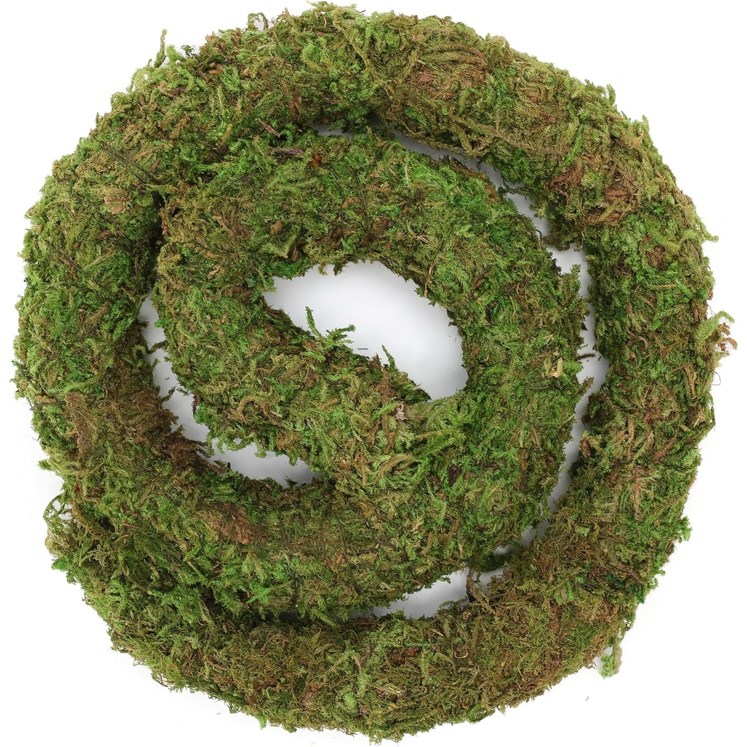 Juguete de Escalada para Cangrejo Ermitaño USMOLA 50cm Verde